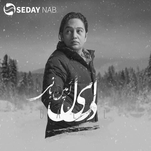 دانلود آهنگ جدید امین بانی به نام دالی